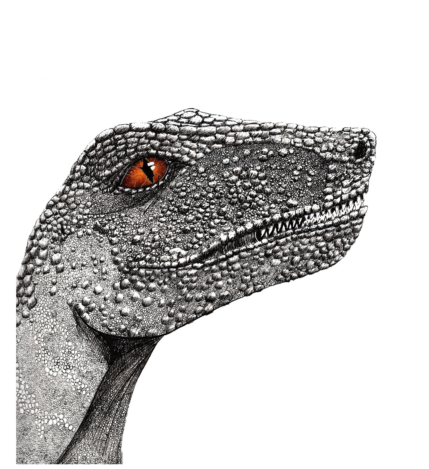 Speed Drawing Delta from Jurassic World