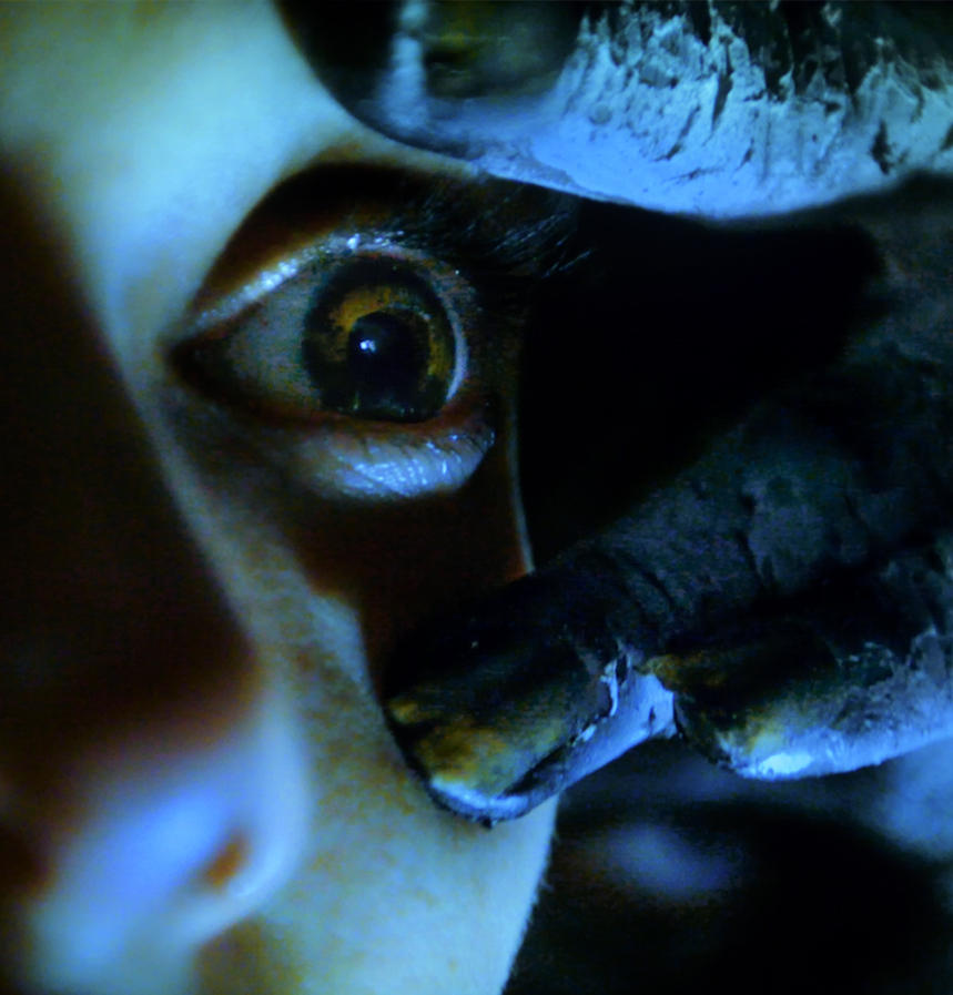 Review: Echoes of Fear (2018)